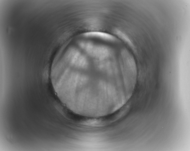 X0000088750065200706212122