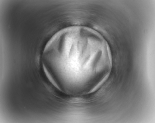 X0000088750066200706212122