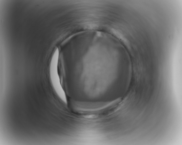 X0000088750067200706212122