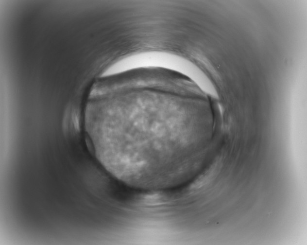 X0000088750068200706212122