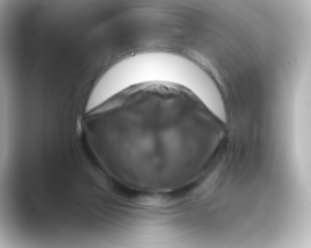 X0000088750069200706212122