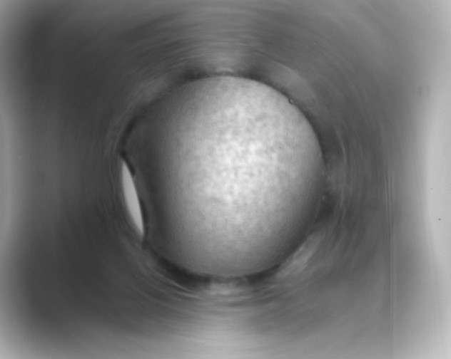 X0000088750070200706212122