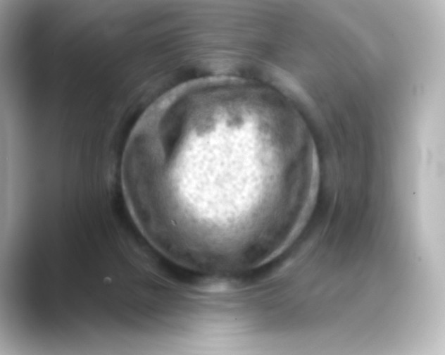 X0000088750073200706212122