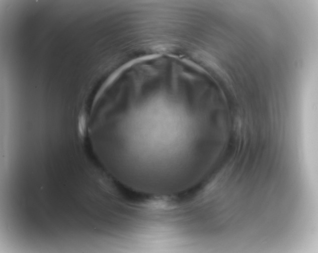 X0000088750076200706212122