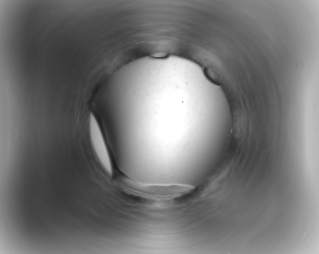 X0000088750077200706212122