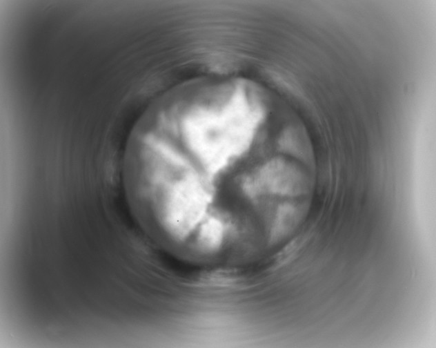 X0000088750078200706212122