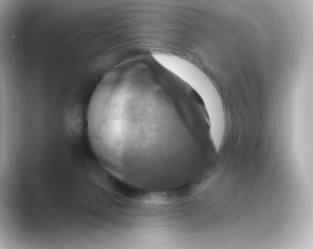 X0000088750080200706212122