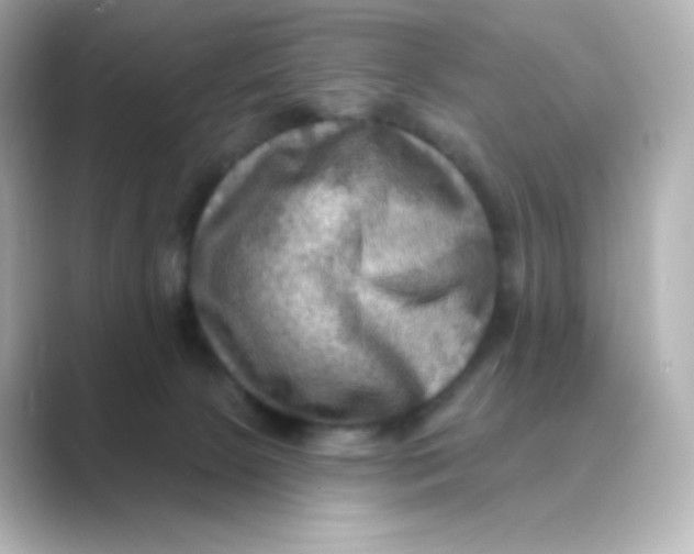 X0000088750081200706212122