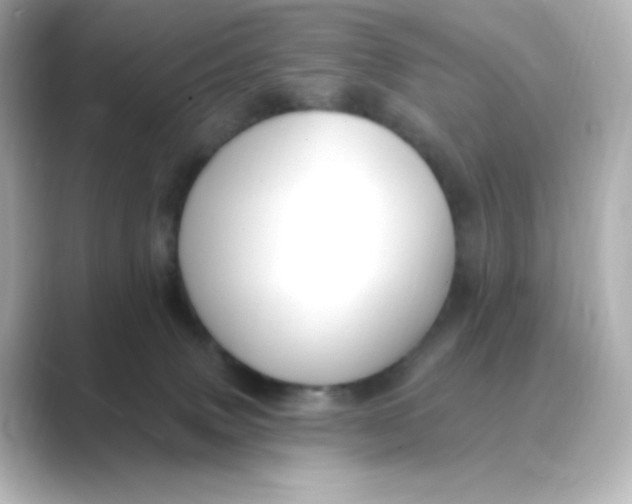 X0000088750083200706212122