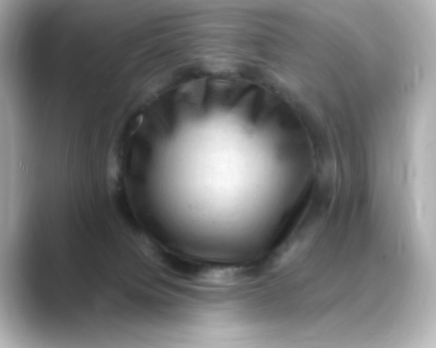 X0000088750084200706212122