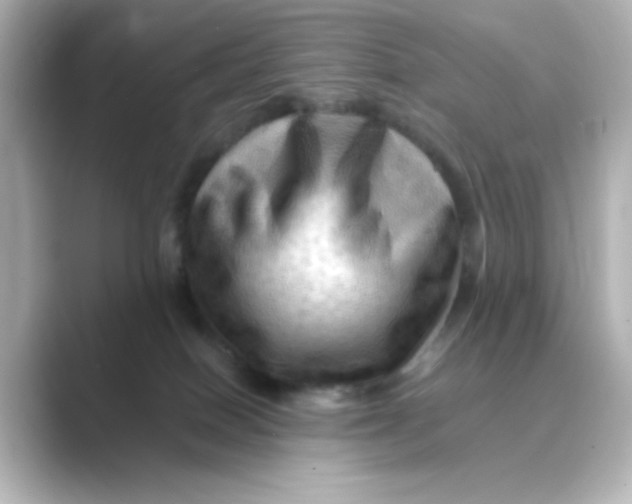 X0000088750086200706212122