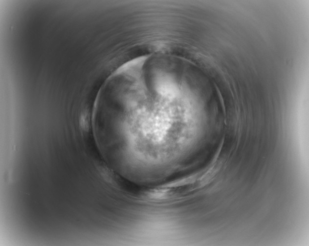 X0000088750090200706212122