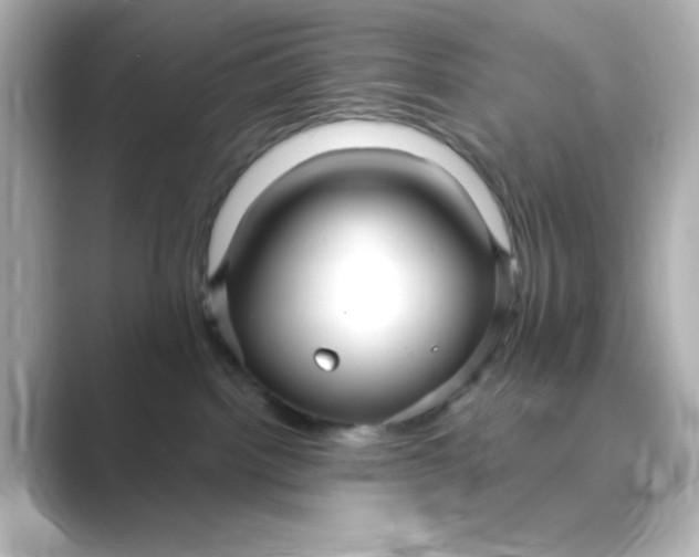 X0000088750092200706212122