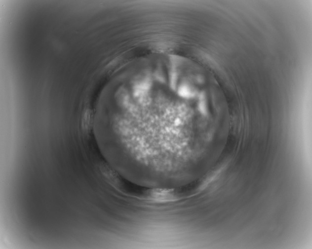 X0000088750093200706212122