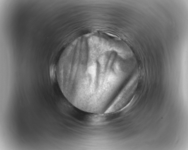 X0000088750094200706212122