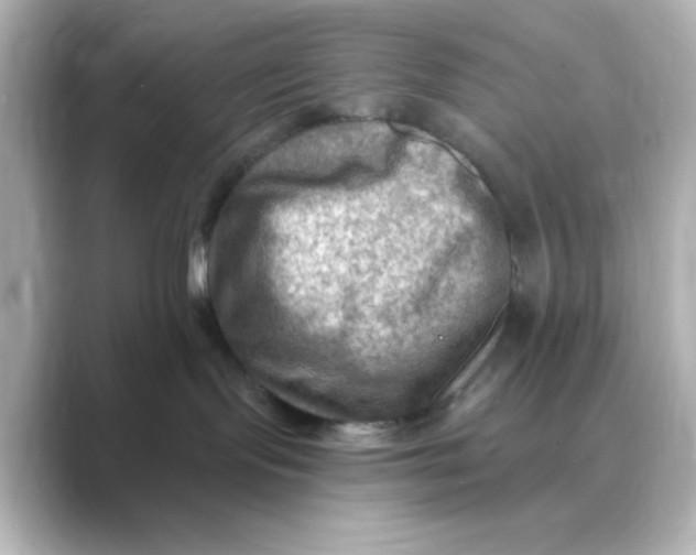 X0000088750095200706212122