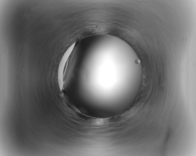 X0000088750096200706212122