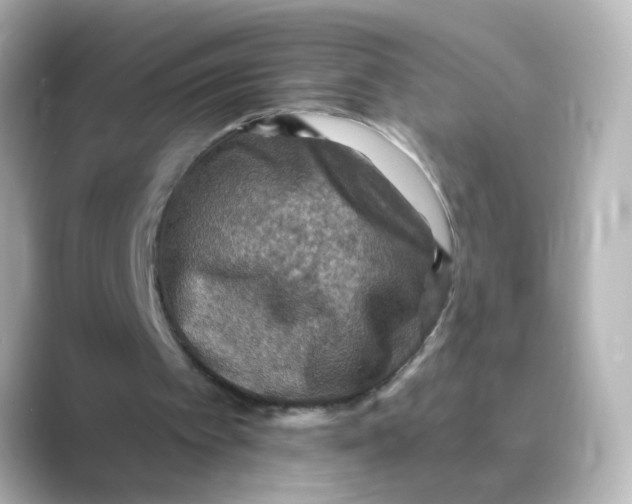 X0000088750097200706212122