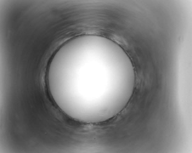 X0000088750098200706212122