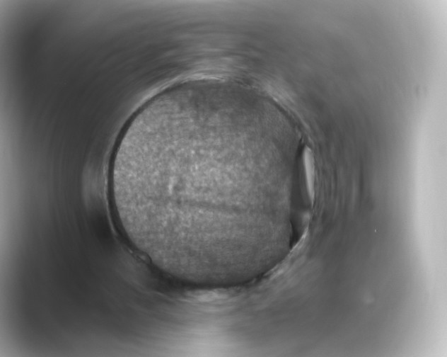 X0000088750100200706212122