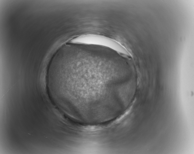 X0000088750101200706212122