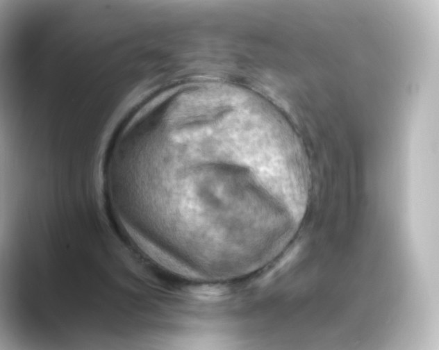 X0000088750102200706212122