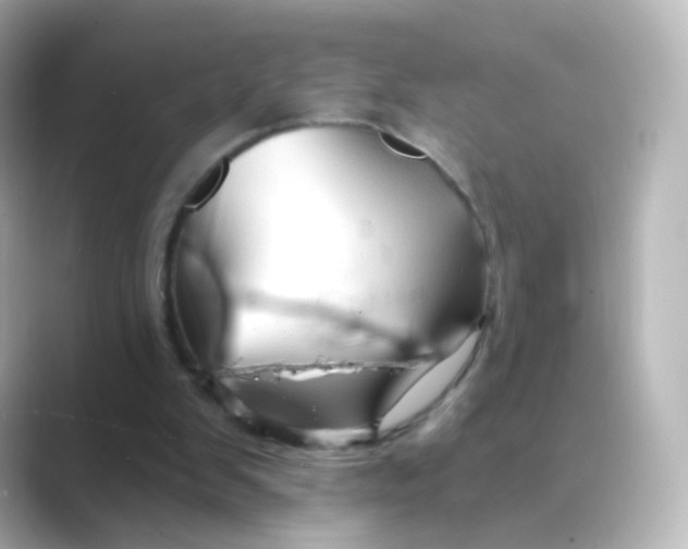 X0000088750103200706212122