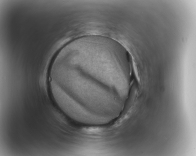 X0000088750104200706212122