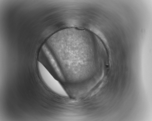 X0000088750105200706212122