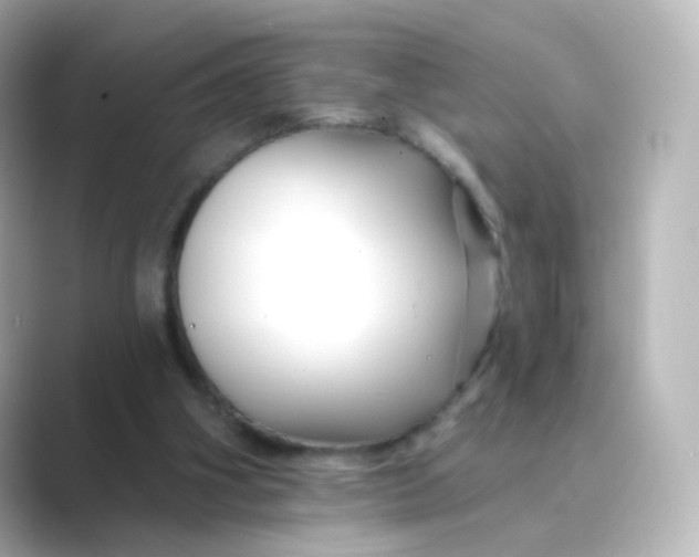 X0000088750106200706212122