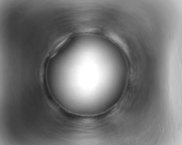 X0000088750107200706212122