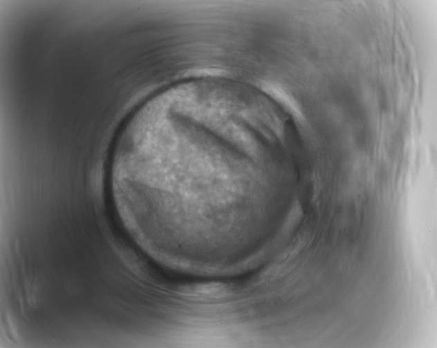 X0000088750108200706212122