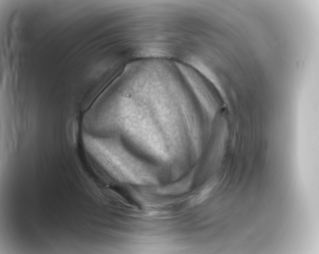 X0000088750109200706212122