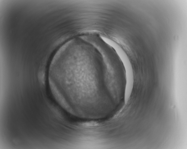 X0000088750112200706212122