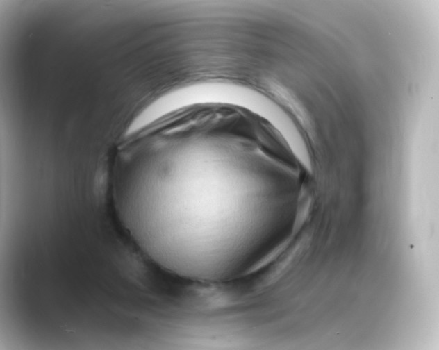 X0000088750113200706212122