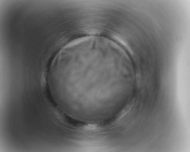 X0000088750114200706212122