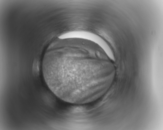 X0000088750115200706212122