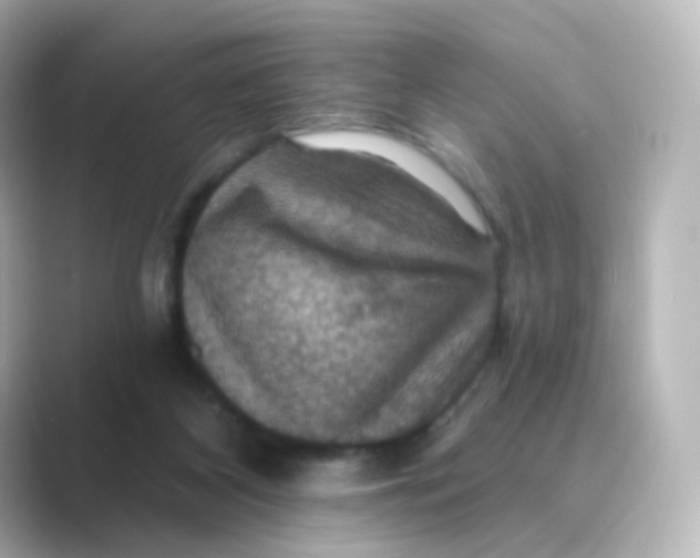 X0000088750116200706212122