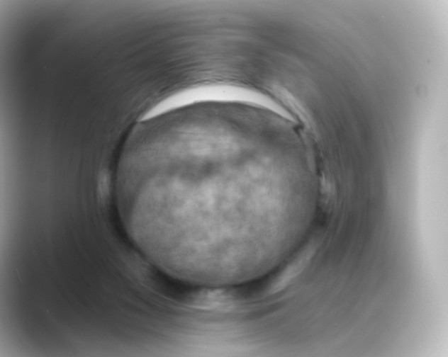 X0000088750117200706212121