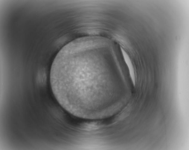 X0000088750120200706212121