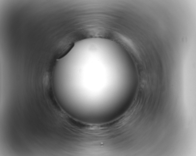 X0000088750121200706212121