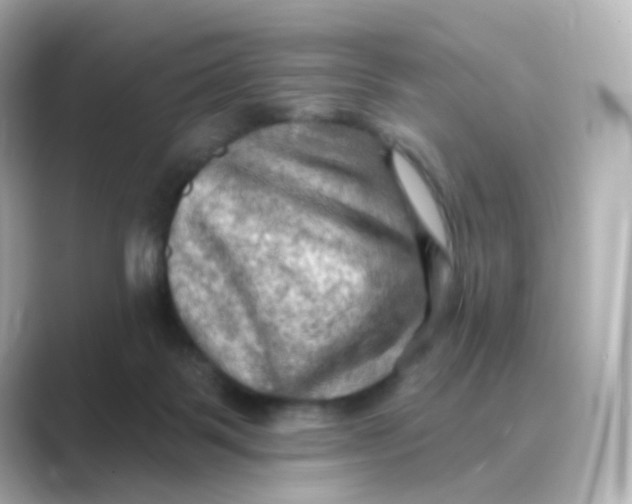 X0000088750123200706212121