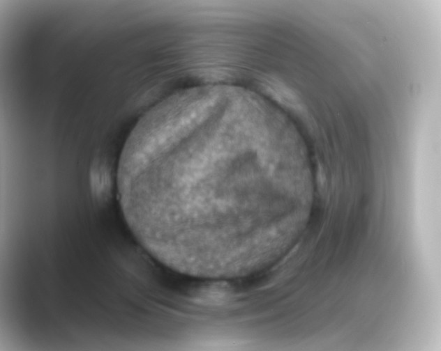 X0000088750124200706212121