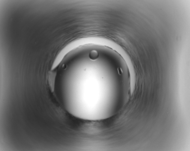 X0000088750125200706212121