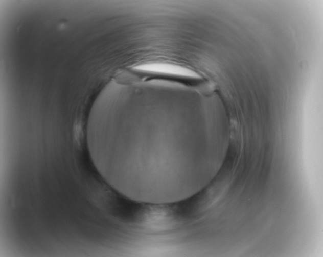 X0000088750127200706212121