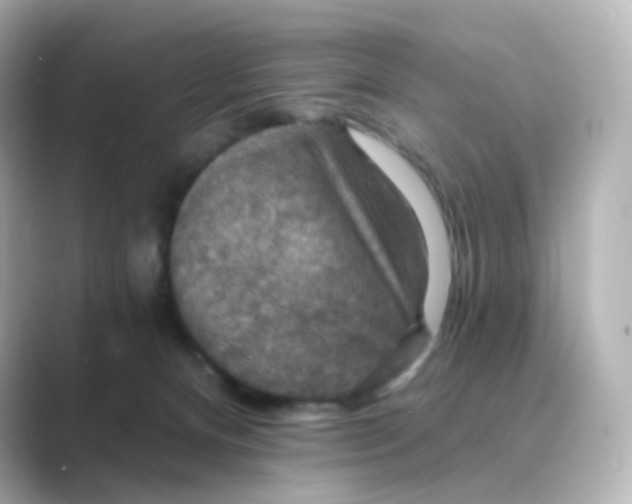 X0000088750128200706212121