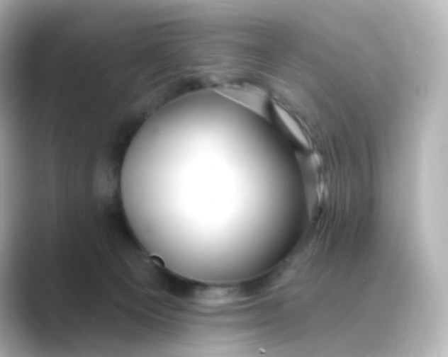 X0000088750129200706212121