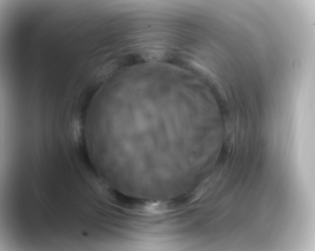 X0000088750130200706212121