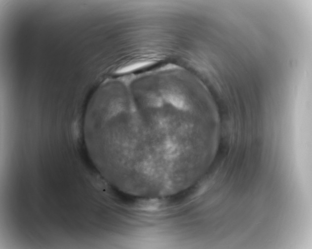 X0000088750131200706212121