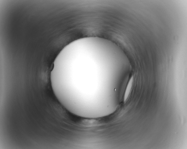 X0000088750133200706212121